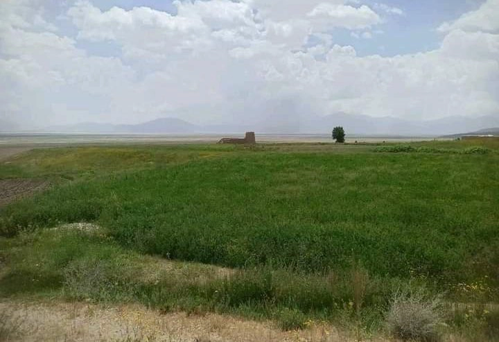 شبکههای اجتماعی