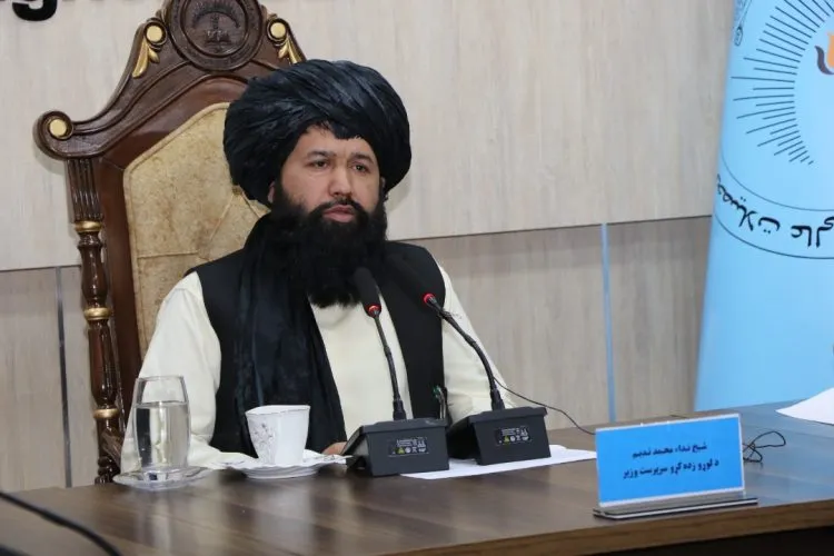 تصویر ندا محمد ندیم وزیر تحصیلات عالی تالبان